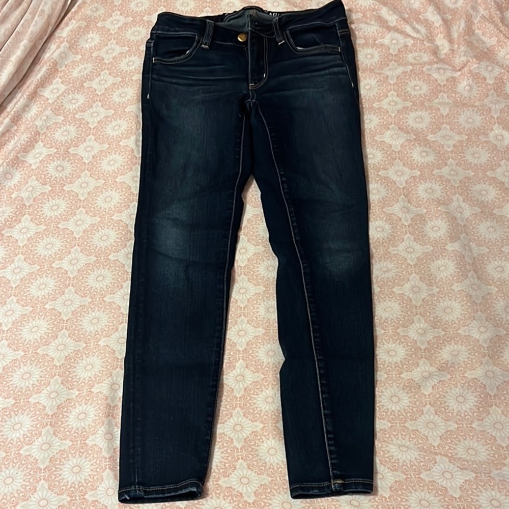 American Eagle Outfitters Blue Skinny Jeans Classic Fit